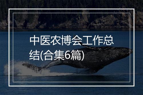 中医农博会工作总结(合集6篇)