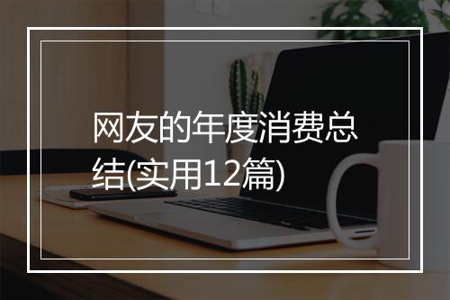 网友的年度消费总结(实用12篇)