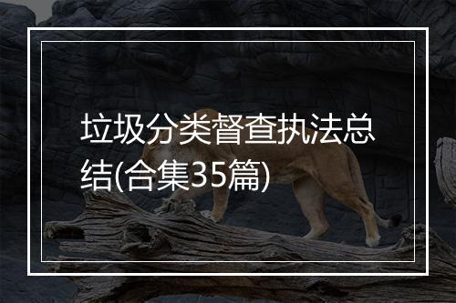 垃圾分类督查执法总结(合集35篇)