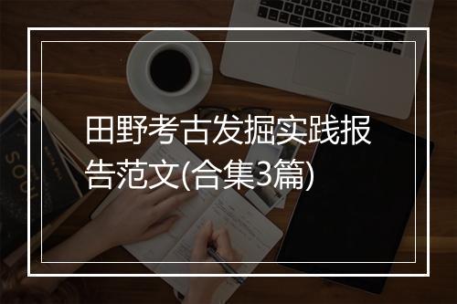 田野考古发掘实践报告范文(合集3篇)