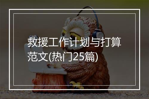 救援工作计划与打算范文(热门25篇)