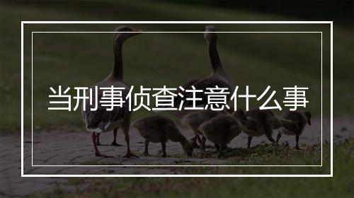 当刑事侦查注意什么事