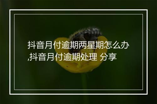 抖音月付逾期两星期怎么办,抖音月付逾期处理 分享