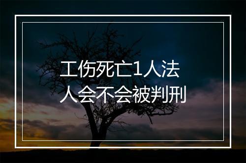 工伤死亡1人法人会不会被判刑
