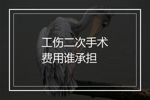 工伤二次手术费用谁承担