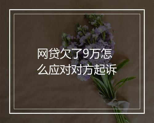 网贷欠了9万怎么应对对方起诉