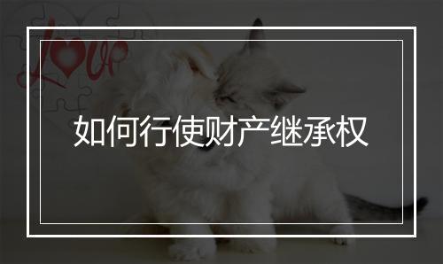 如何行使财产继承权