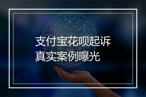 支付宝花呗起诉真实案例曝光