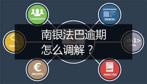 南银法巴逾期怎么调解？