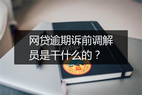 网贷逾期诉前调解员是干什么的？