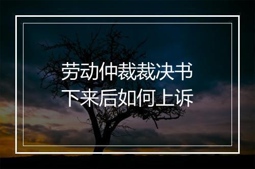 劳动仲裁裁决书下来后如何上诉
