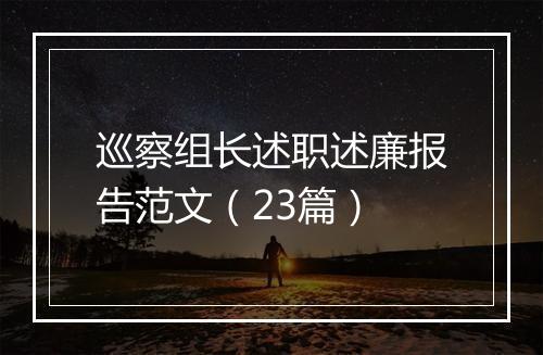 巡察组长述职述廉报告范文（23篇）