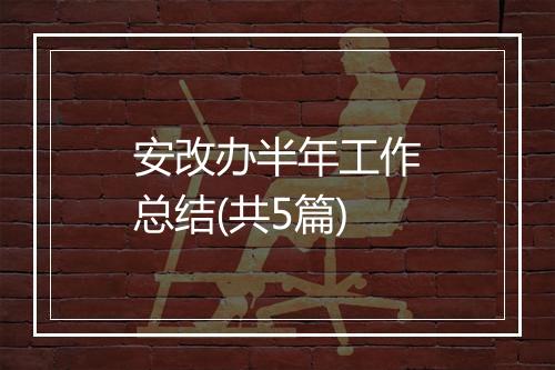 安改办半年工作总结(共5篇)