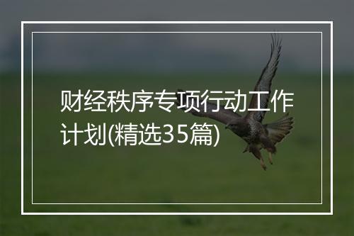财经秩序专项行动工作计划(精选35篇)