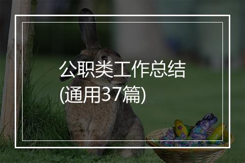 公职类工作总结(通用37篇)