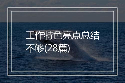 工作特色亮点总结不够(28篇)
