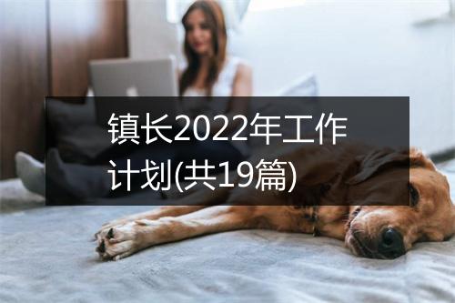 镇长2022年工作计划(共19篇)