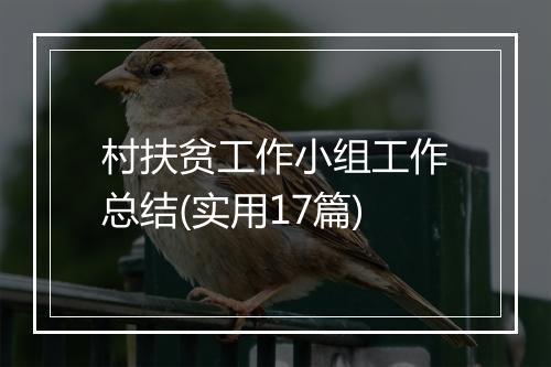 村扶贫工作小组工作总结(实用17篇)
