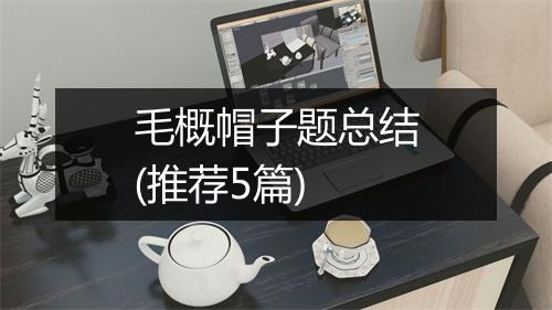 毛概帽子题总结(推荐5篇)