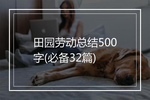 田园劳动总结500字(必备32篇)