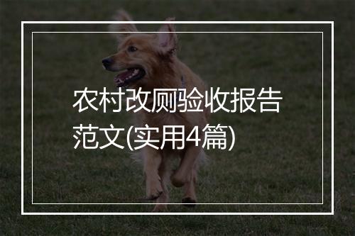 农村改厕验收报告范文(实用4篇)