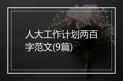 人大工作计划两百字范文(9篇)
