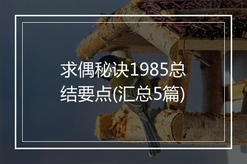 求偶秘诀1985总结要点(汇总5篇)
