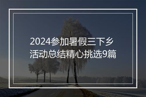 2024参加暑假三下乡活动总结精心挑选9篇
