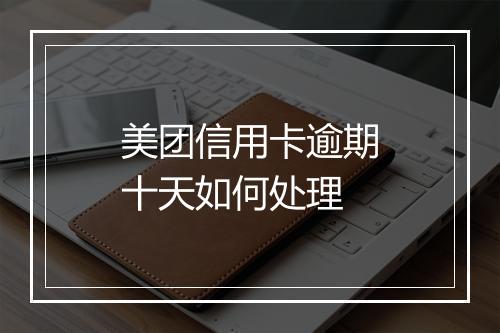 美团信用卡逾期十天如何处理