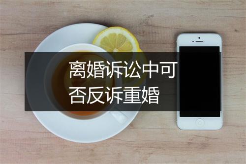 离婚诉讼中可否反诉重婚
