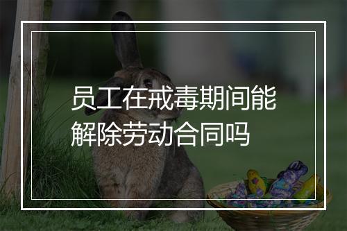 员工在戒毒期间能解除劳动合同吗