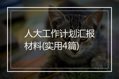 人大工作计划汇报材料(实用4篇)