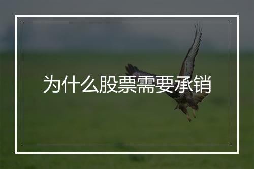 为什么股票需要承销