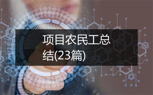 项目农民工总结(23篇)