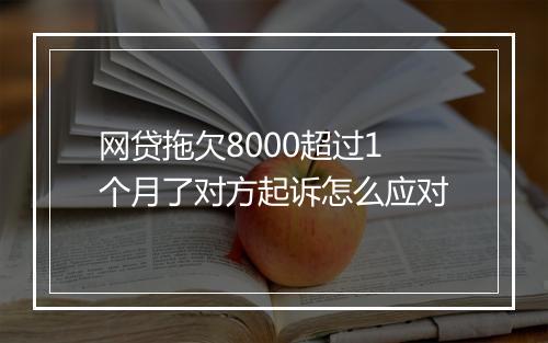 网贷拖欠8000超过1个月了对方起诉怎么应对