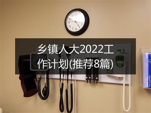 乡镇人大2022工作计划(推荐8篇)