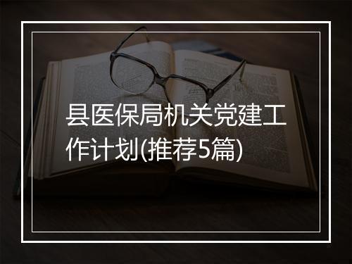 县医保局机关党建工作计划(推荐5篇)