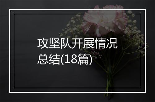 攻坚队开展情况总结(18篇)