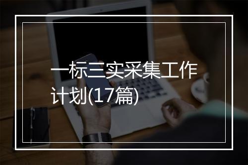 一标三实采集工作计划(17篇)