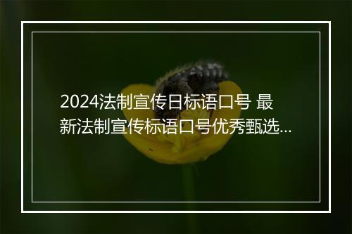 2024法制宣传日标语口号 最新法制宣传标语口号优秀甄选通用版10篇