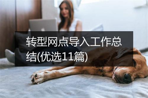 转型网点导入工作总结(优选11篇)
