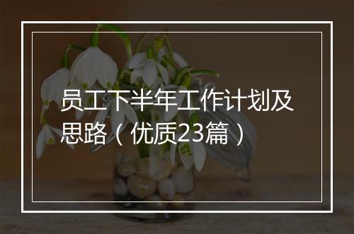 员工下半年工作计划及思路（优质23篇）