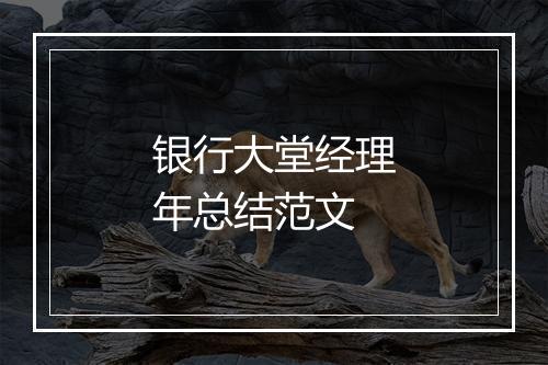 银行大堂经理年总结范文