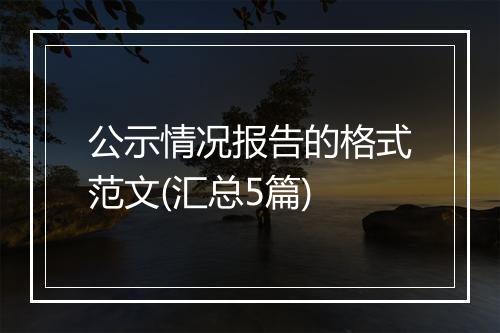 公示情况报告的格式范文(汇总5篇)
