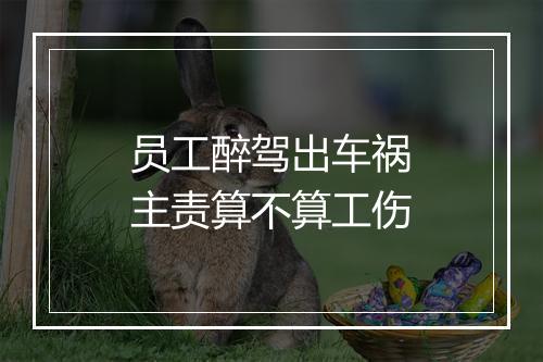 员工醉驾出车祸主责算不算工伤