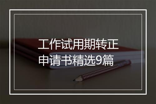 工作试用期转正申请书精选9篇
