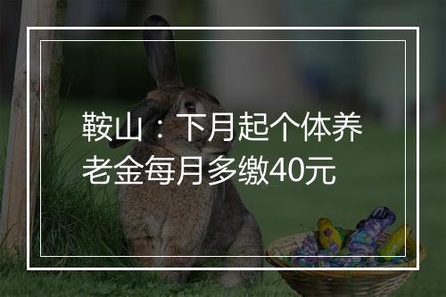 鞍山：下月起个体养老金每月多缴40元