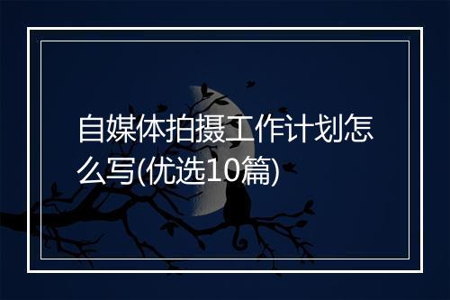 自媒体拍摄工作计划怎么写(优选10篇)