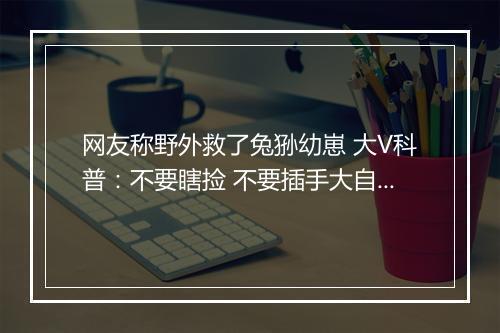 网友称野外救了兔狲幼崽 大V科普：不要瞎捡 不要插手大自然