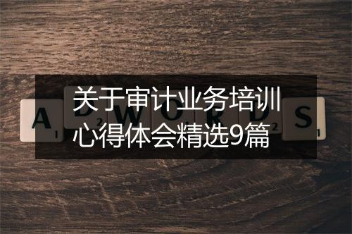 关于审计业务培训心得体会精选9篇